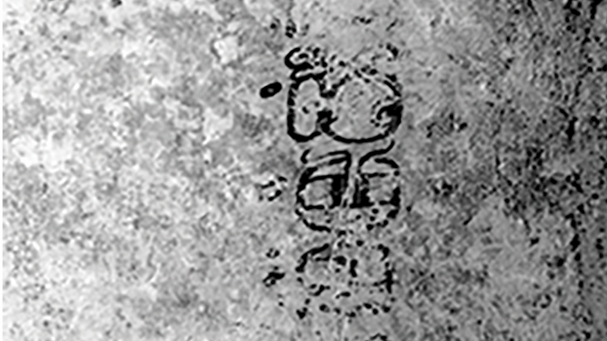 1200年前のマヤの遺跡からアメリカ大陸最古の科学者の名前を発見