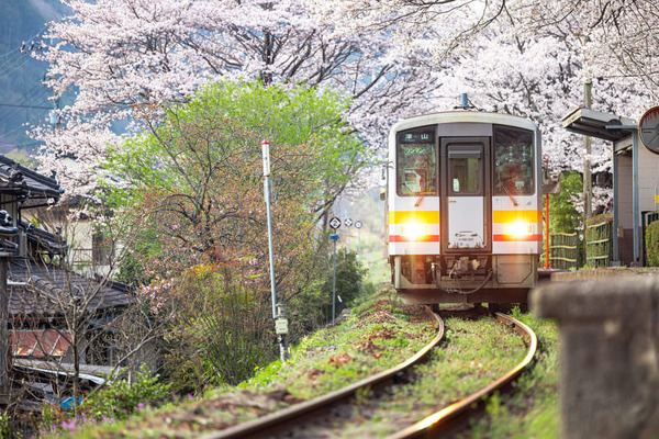 【動画あり】電車「あ、撮り鉄いるからハイビームにしよｗ」⇒www