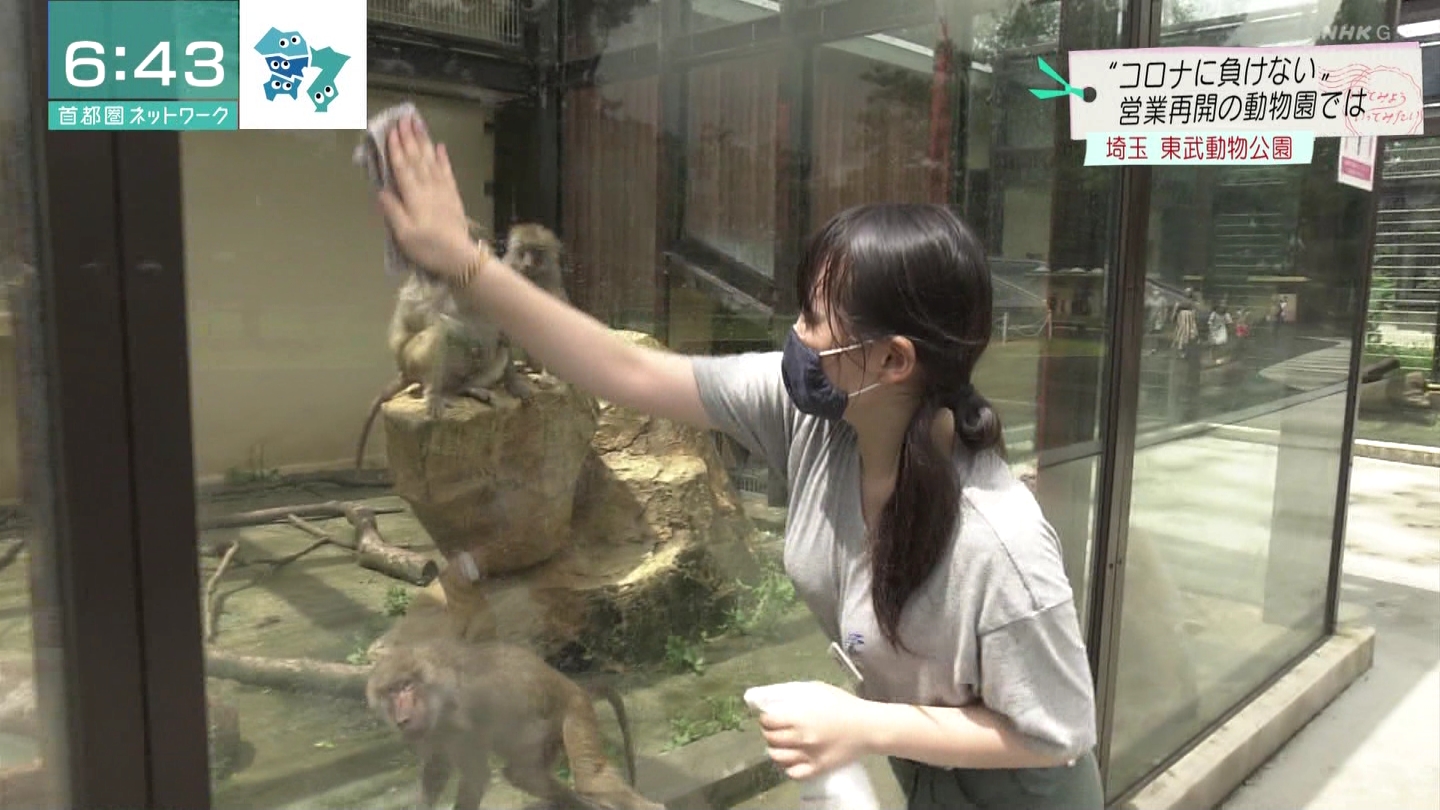 【画像】飼育員さん、えっちなおっぱいをテレビで晒してしまう