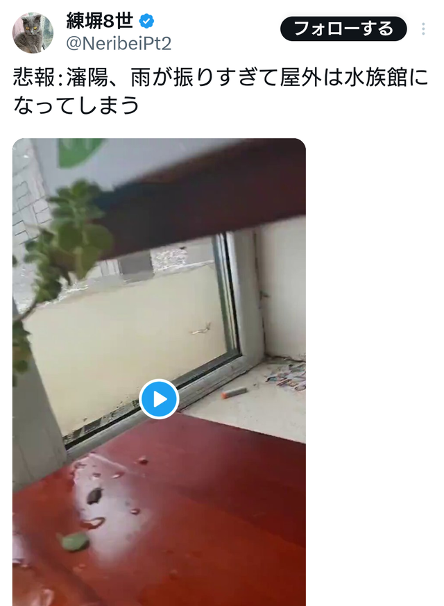 【衝撃映像】中国・瀋陽が豪雨で水没…街中を魚が泳ぐ「巨大水族館」状態に