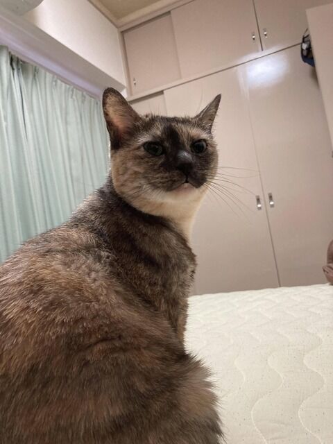 【お前がハズレ】俺３６歳、年収２６０万。彼女が金目当てのハズレ女じゃないかどうか試すために「仕事クビになった」と嘘をついたら、半月後にガタイのいい男達に取り囲まれ・・・