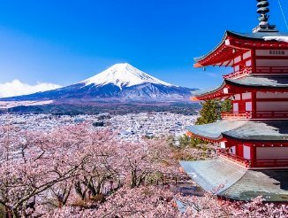 【画像】世界の言語系統、日本だけ何かがおかしいwww