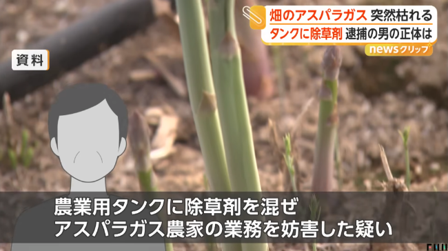 ハウス9棟のアスパラが突然枯れる　農業仲間が除草剤入れたか