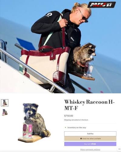 【画像】ハーランドさん、タヌキと共に失意の帰国へwww