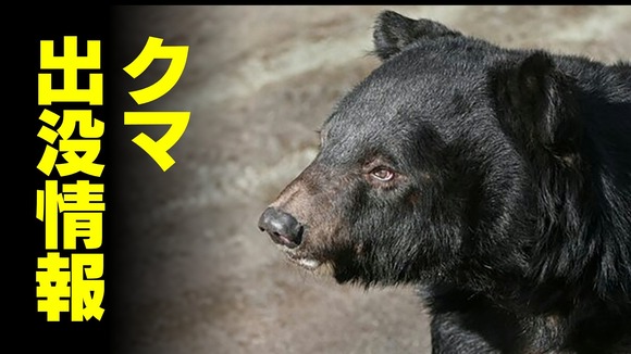【富山】クマ出没「ボイラー室でクマのお尻が見えたので閉じ込めている」