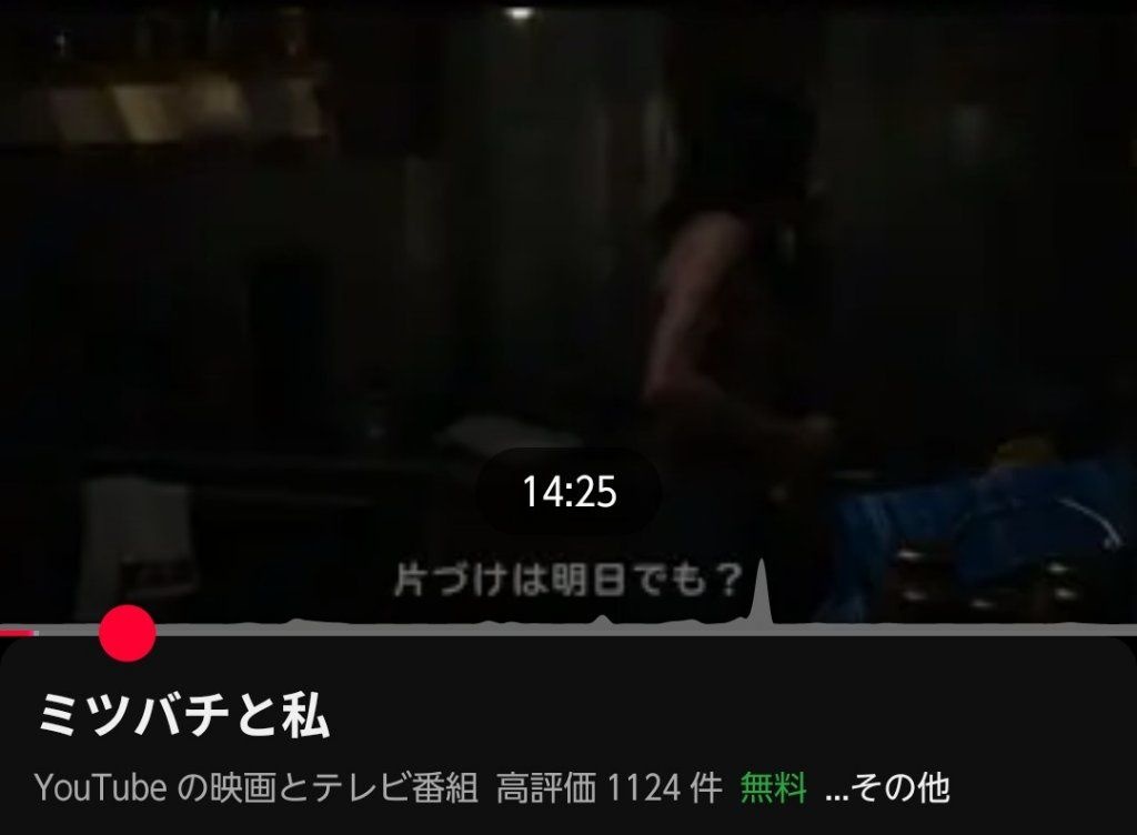 【画像】YouTubeのロリコン映画、シークバーで見どころが勃起してしまうw