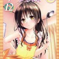 【画像】ぼく「ToLOVEる、美柑、日焼け、水着、お尻」AI「…わかりました」→結果