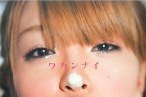 【悲報】木下優樹菜、また炎上