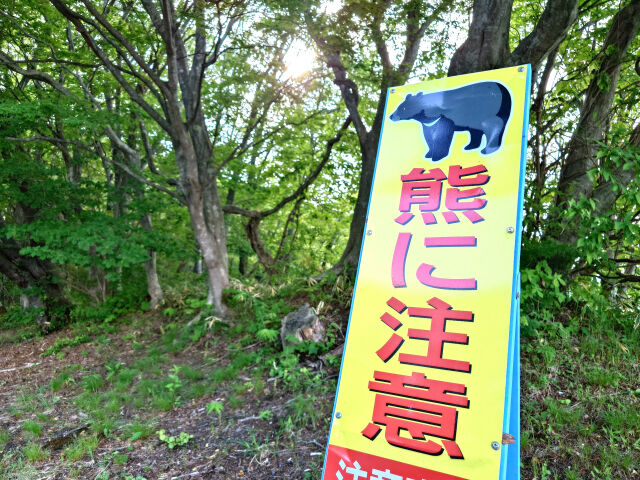 箱罠にかかったツキノワグマを許可なく捕獲か　84歳と64歳の男2人を逮捕