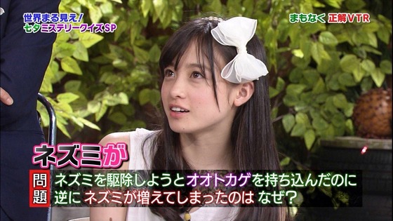 【画像】橋本環奈(全盛期)超えのハーフ美少女生まれるwww 【Pickup29065651】