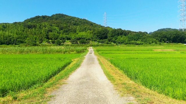 【悲報】X「都心に住んでたくせに子供できたら田舎に引っ越す奴は毒親」→9万いいね