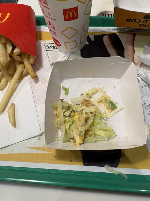 【画像】ビッグマックのキャベツ、だいたいこうなるwww