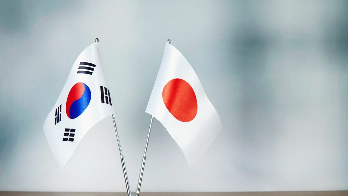 【海外の反応】”韓国人の性格が悪いから”ではない…島国の日本人には理解しがたい”感情的に歴史を蒸し返す”根本原因 → 「自分たちの被害者意識は高いのに加害者意識が低すぎるわ」「日本を批判するが韓国もベトナムで酷いことをしてたよね？」