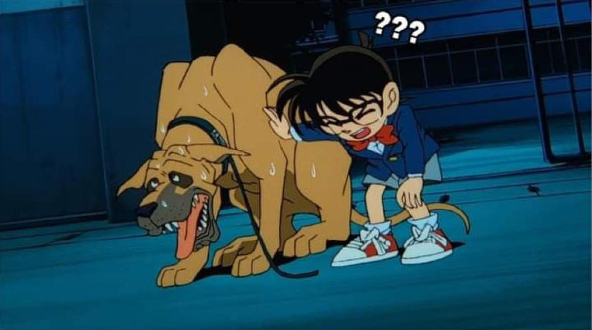【画像】これなんでコナン君も疲れてるの？？