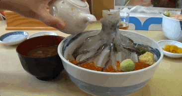 死んだイカに「醤油をかけると踊り狂う」科学的しくみを解説