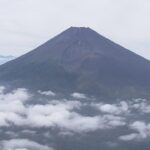 アイルランド人、日本に来て心が折れてしまう