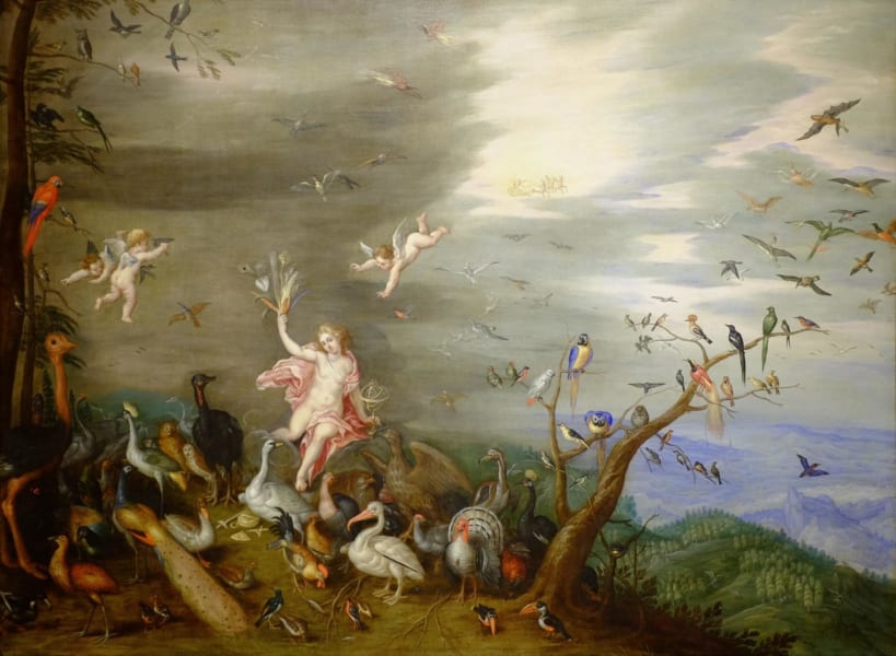 判明したばかりの「鳥を食べるコウモリ」の捕食行動、実は400年前の絵画に描かれていた