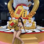 デカいグラドルさん。 台湾でまわされる