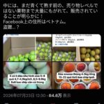 【乞食速報】ベトナム人さん、熟してない梨、りんご、桃の大量即売祭りをSNSで始めるwww