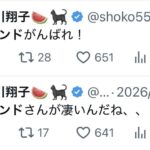 中川翔子(41)「ハーランドさんが凄いんだね…！」「ハーランド様いた♡」「ハーランドがんばれ！」→敗退後1mmもハーランドに触れない