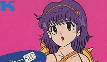 レトロゲームで美少女系ゲームが高値になるのって