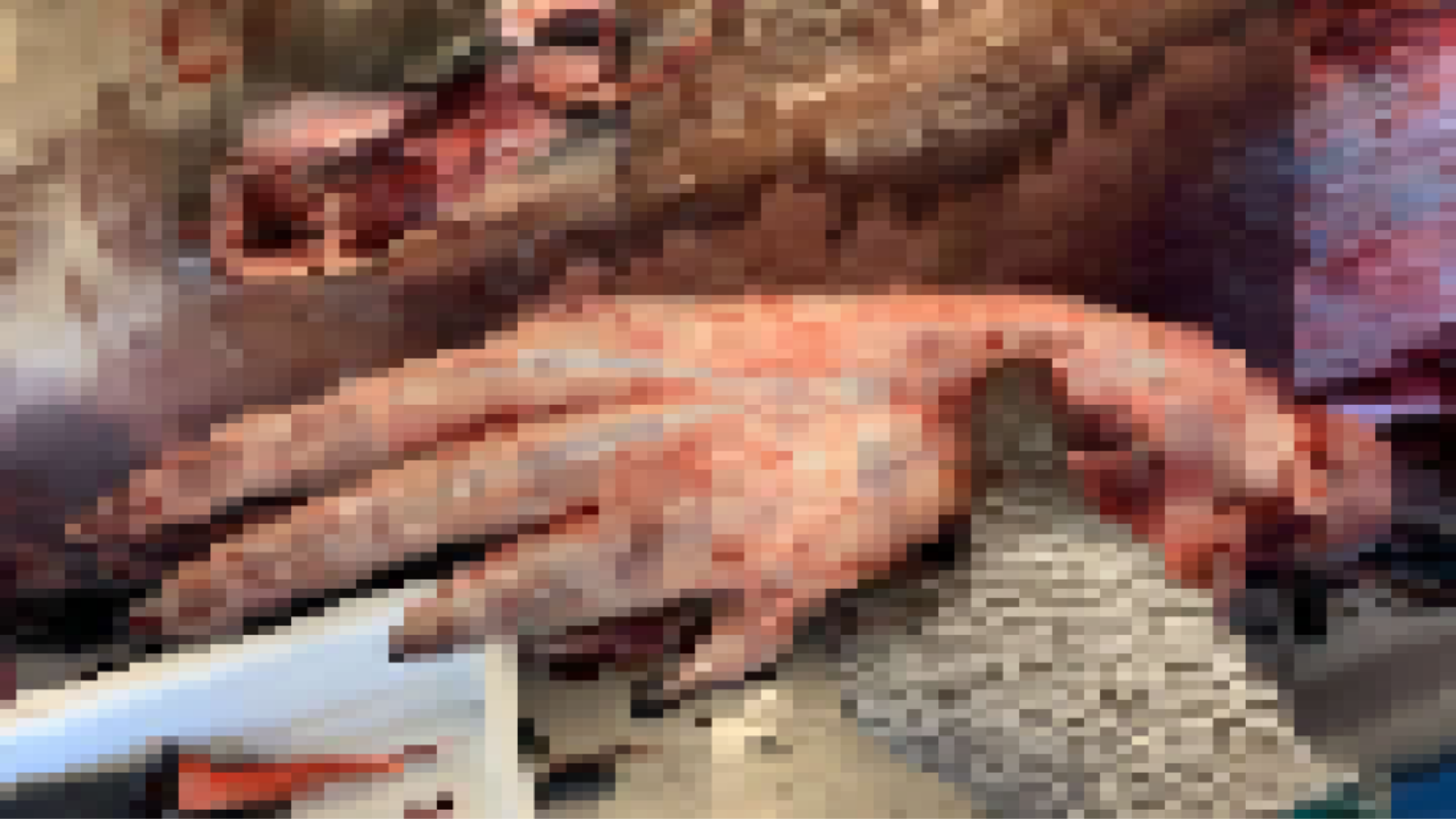 クジラのヒレの中には「5本指の手」が残っている【衝撃の写真】