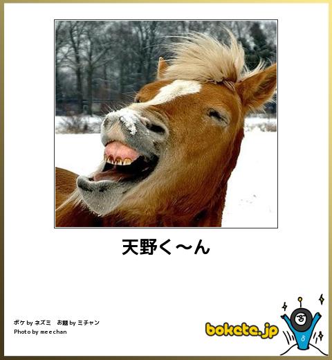【画像スレ】思わず保存した「最高の画像」「笑った画像」貼っていけwww
