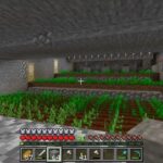 ワイのマイクラ文明、大発展を遂げる