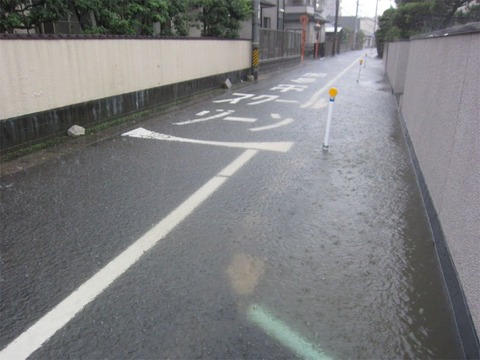 ［朗報］ジジババを仕留めてくれそうな用水路が見つかるwww