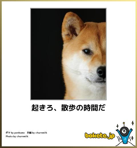 【爆笑注意】腹筋崩壊するほど笑える画像、ガチで集まるwww