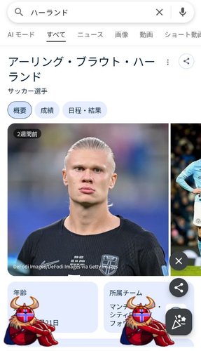 【画像】ハーランドさん「俺をググれ」→検索画面にバイキング襲来