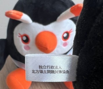 北方領土エリカちゃん、プーチン大統領が北方領土に来てるのにガン無視を決め込むwww