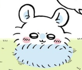 【悲報】ちいかわのモモンガ、まもなく死ぬ模様