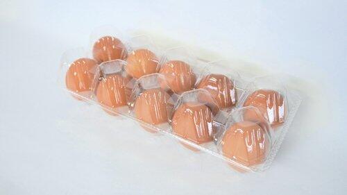 【悲報】鶏卵L寸10個パック、税込398円www