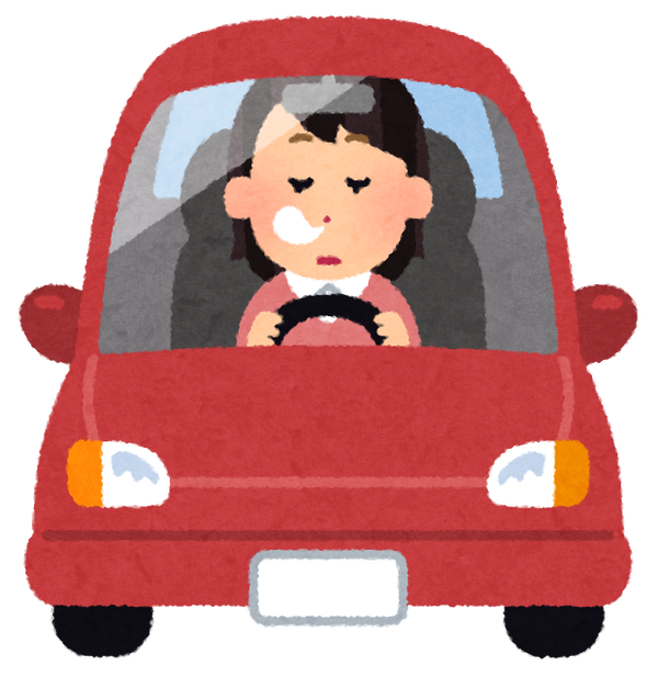 【絶望】ヨッメの危険運転がヤバすぎる→…こんな運転許していいのか？