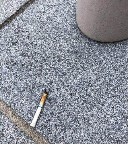【悲報】タバコポイ捨て爺さんをXに晒した奴が告訴されたらしいが…