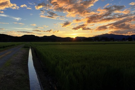 田舎の田んぼガチで綺麗www