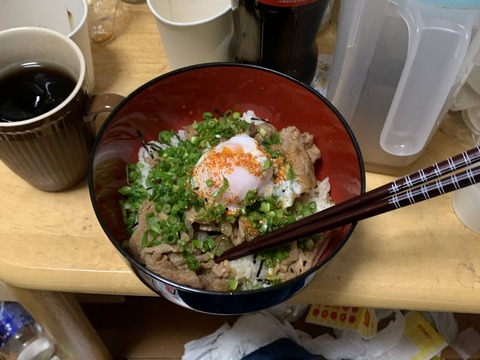 【画像】家で作った豚丼のクオリティがヤバすぎると話題にwww