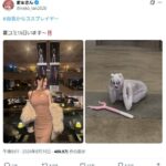 【画像】 美人レイヤーさん、「ちいかわ」のコスプレを披露！ まるでちいかわが具現化したようだと話題に
