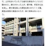 散歩中の男性、イノシシに襲いかかり警察に取り押さえられ死亡