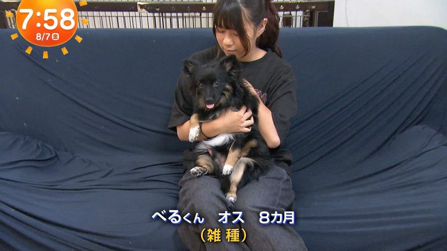 フジテレビで無修正の勃起ちんぽが流れる放送事故が発生