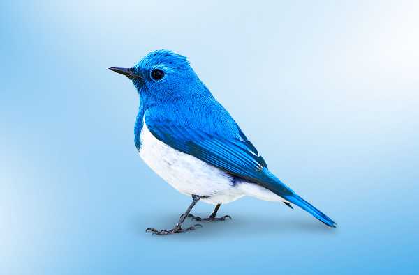 【安倍悲報】F9のtwitterに捨て垢でウ●コ画像送り付けようぜwww