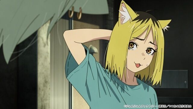 【謎】 『ヤニねこ』のヤクねこ、なぜかSNSで女子に人気