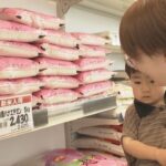 米農家ブチ切れ「コシヒカリ去年より1万2000円安い1万7000円で提示された！！」