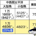 高市朗報！日本「マグロもっともっと獲りたい！」との提案が通る！漁獲高25%もアップ