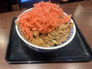 牛丼ってのはこれくらいがベスト