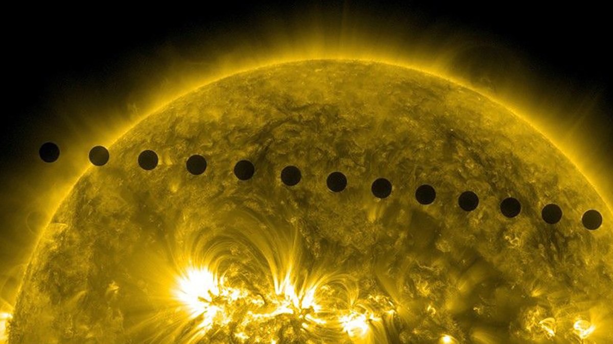 金星の過酷な硫酸の雲の中で、地球外生命が生存している可能性