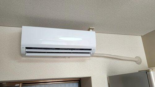 【悲報】今年の夏、ガチで涼しかった