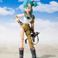 【画像】ブルマさん、下着モデルになるwww