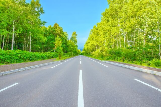 警察「農道はセンターラインがあっても法定速度30kmね」